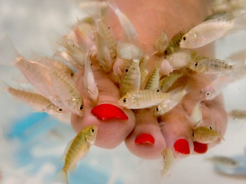 This Pedicure Trend is a Little Fishy